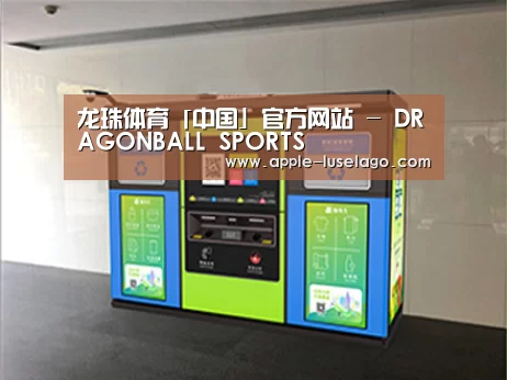 成功案例标题四