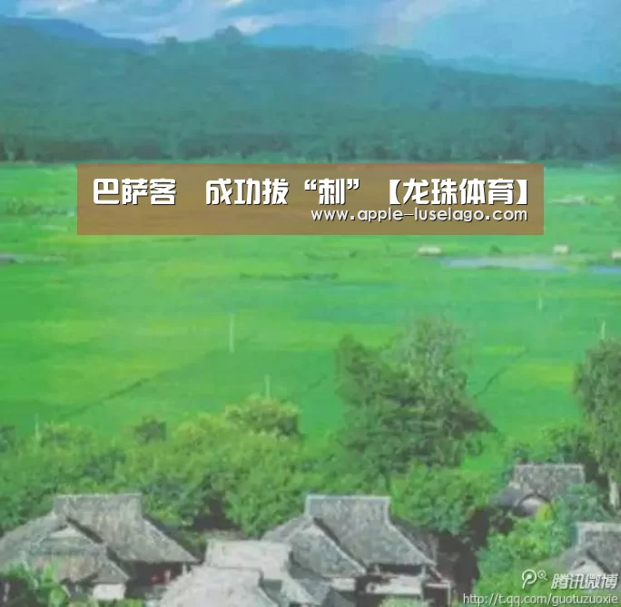 龙珠体育