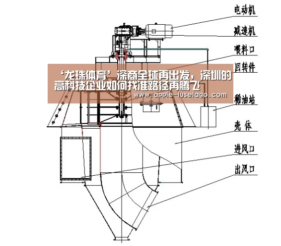 ‘龙珠体育’深商全球再出发，深圳的高科技企业如何找准路径再腾飞