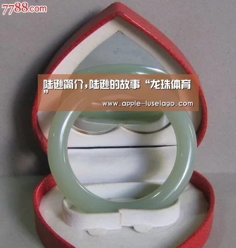 龙珠体育