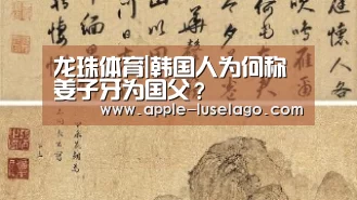 龙珠体育