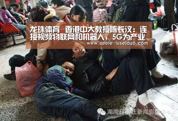 龙珠体育
