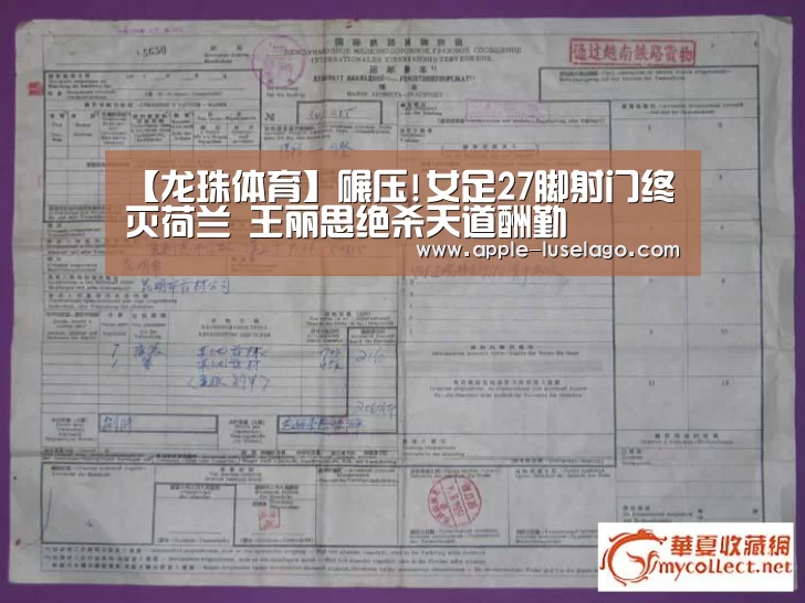 【龙珠体育】碾压!女足27脚射门终灭荷兰 王丽思绝杀天道酬勤