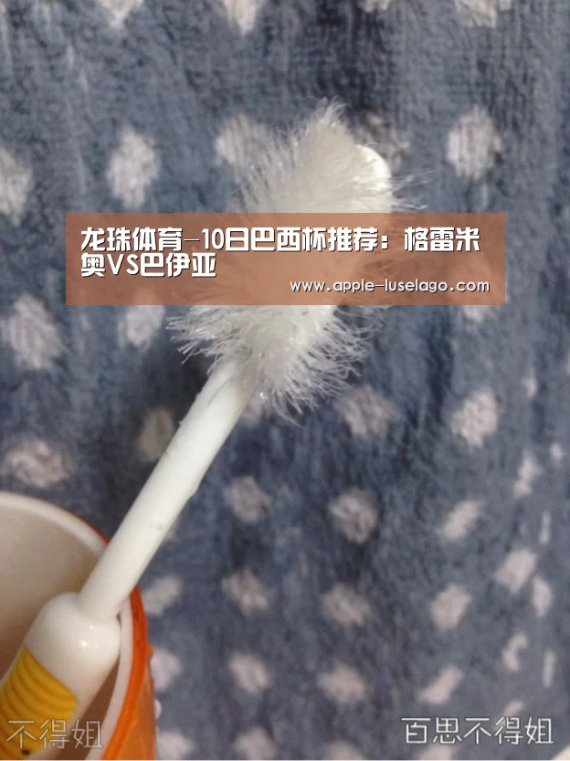 龙珠体育-10日巴西杯推荐：格雷米奥VS巴伊亚