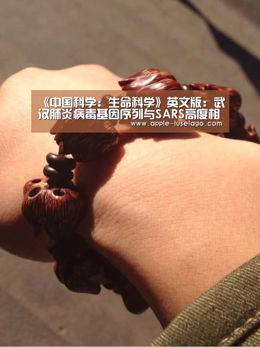 龙珠体育