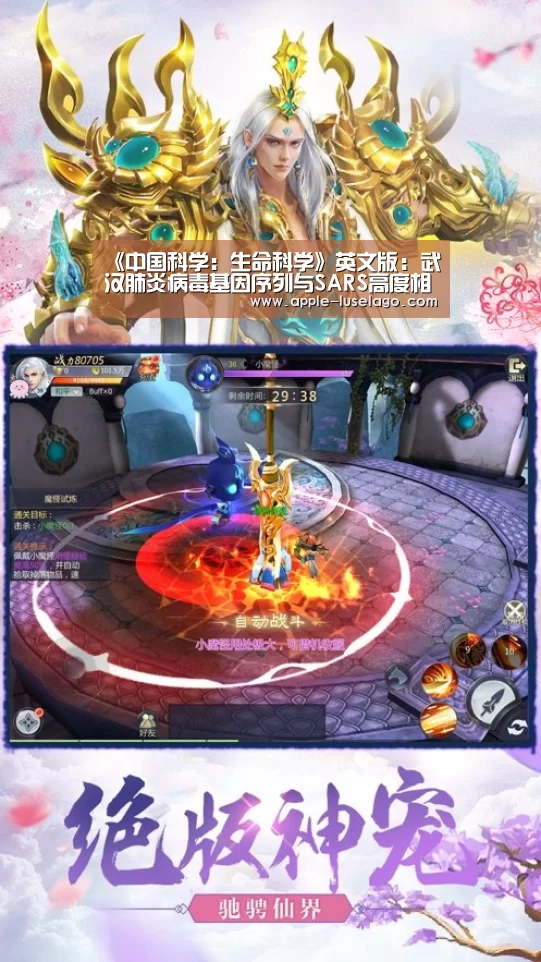 龙珠体育