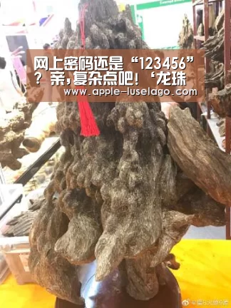 网上密码还是“123456”? 亲,复杂点吧!‘龙珠体育’