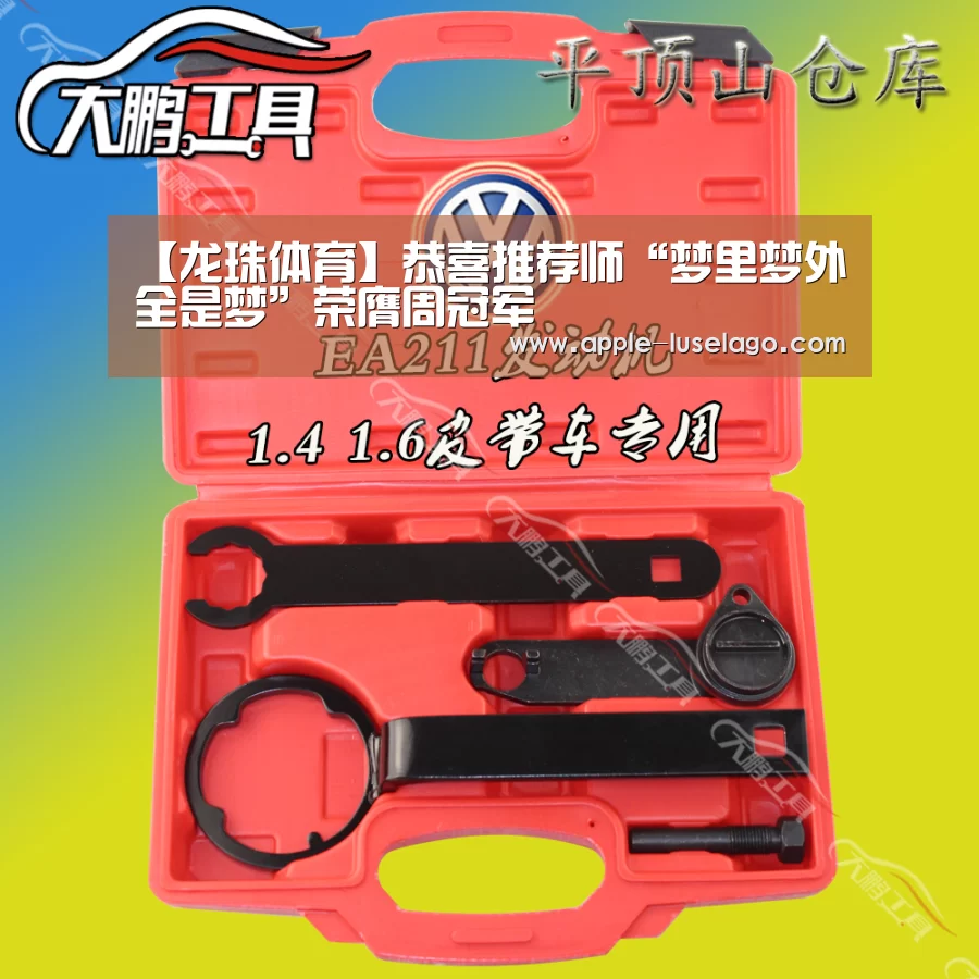 龙珠体育