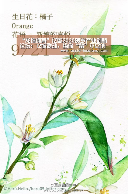 “龙珠体育”亿欧2020贺岁产业创新论坛：12城联动，给你“鼠”不尽的收获