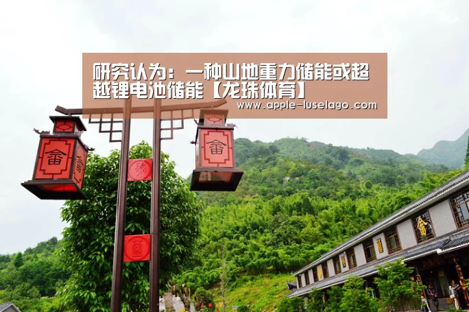龙珠体育