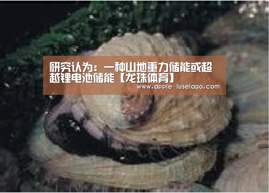 研究认为：一种山地重力储能或超越锂电池储能【龙珠体育】