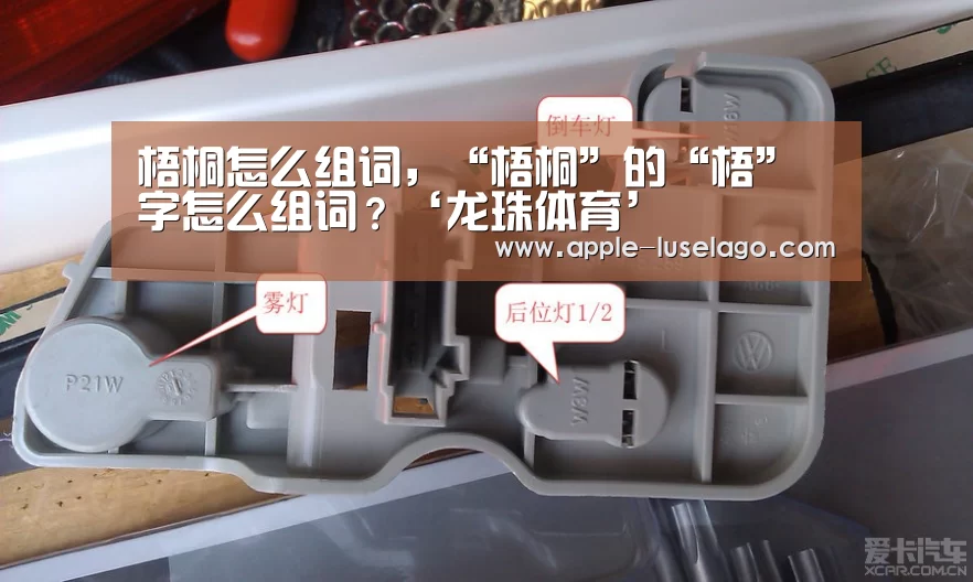 梧桐怎么组词，“梧桐”的“梧”字怎么组词？‘龙珠体育’