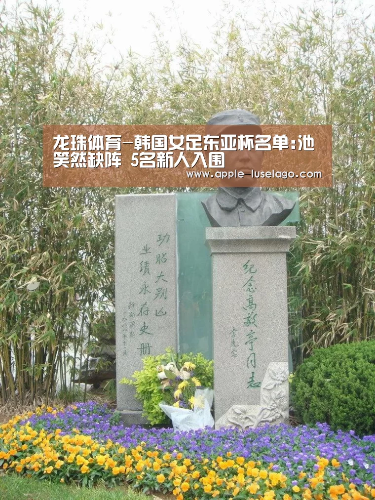 龙珠体育