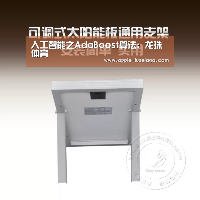 龙珠体育