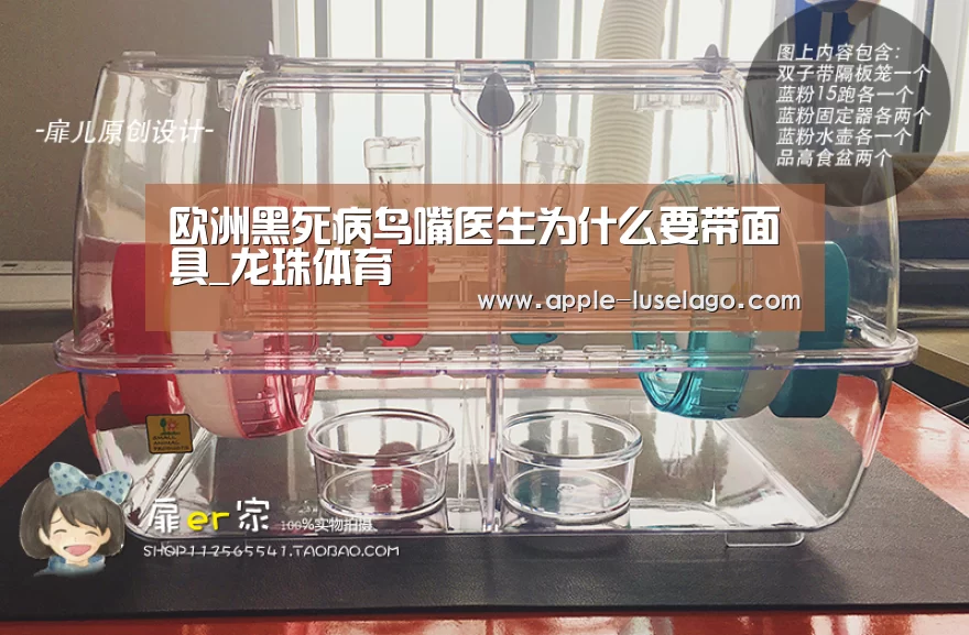 龙珠体育
