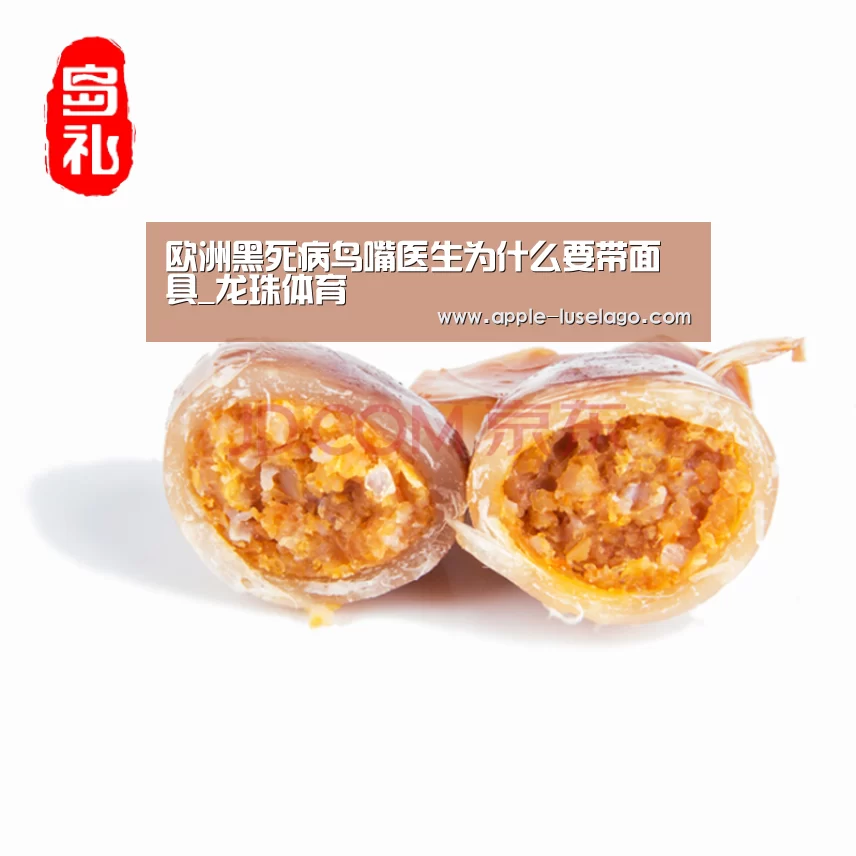 龙珠体育