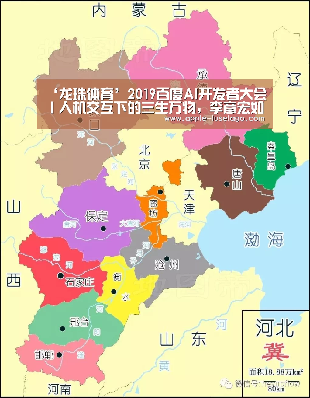 龙珠体育