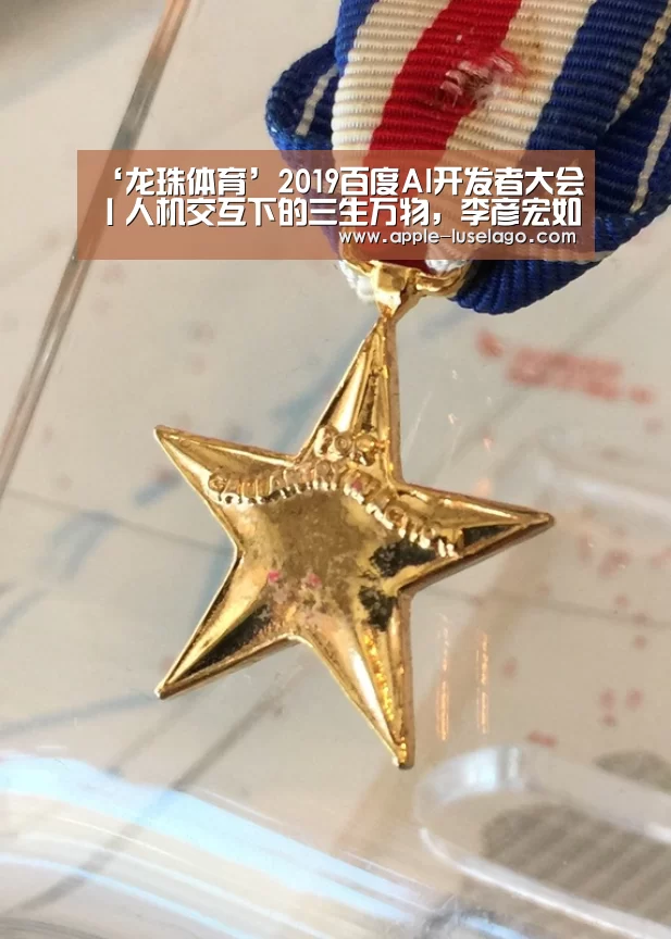 龙珠体育