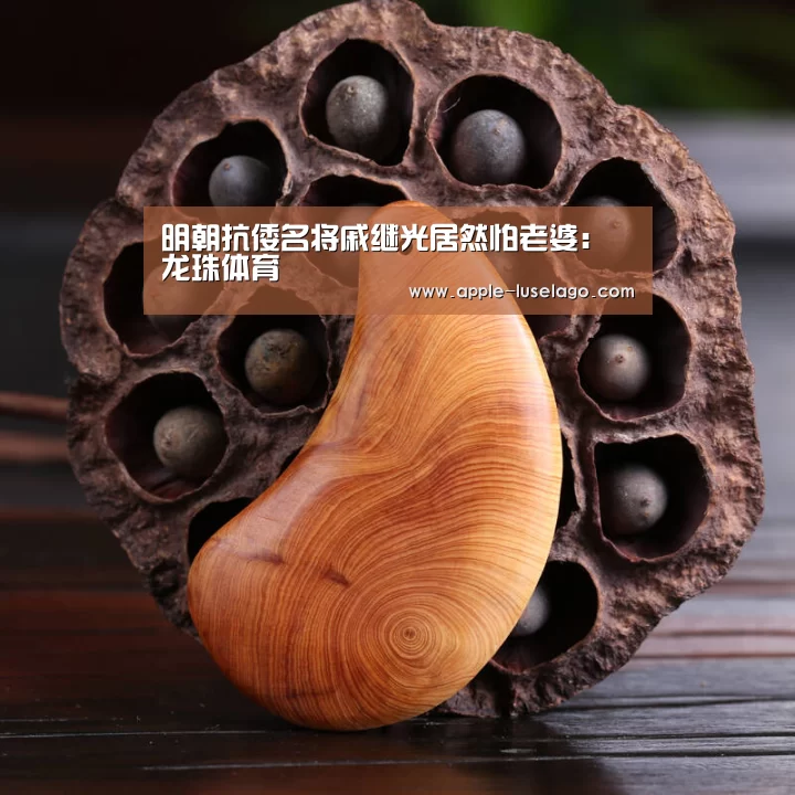 龙珠体育