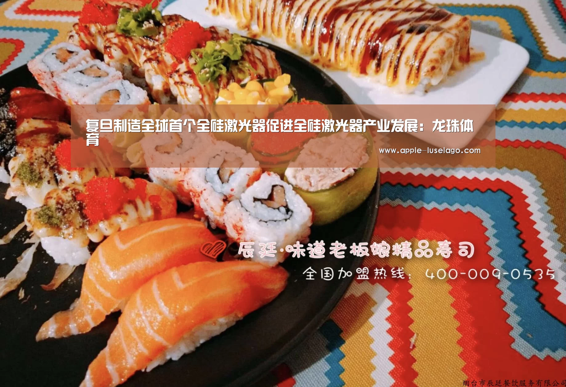 龙珠体育